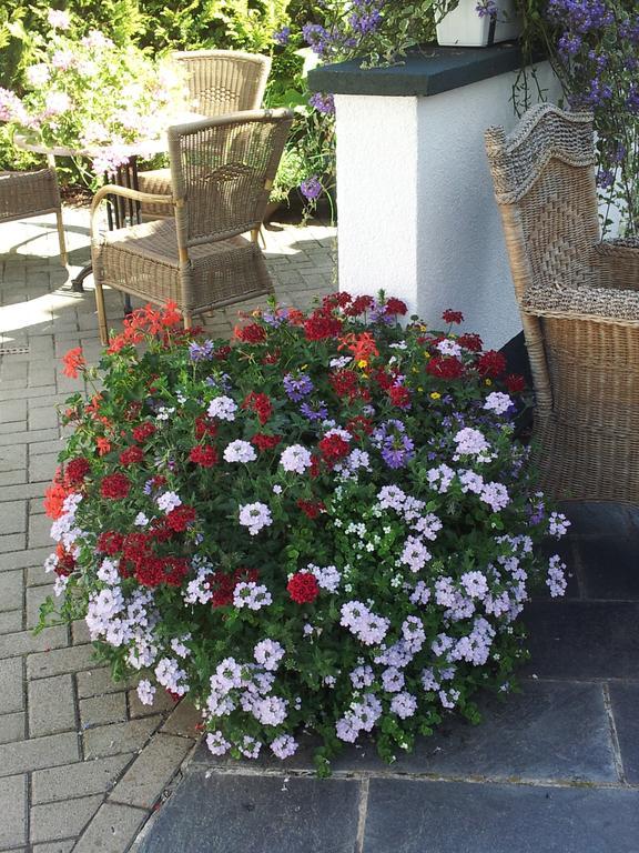 De Witte Molen Kranenburg Bed & Breakfast Kranenburg  Eksteriør bilde